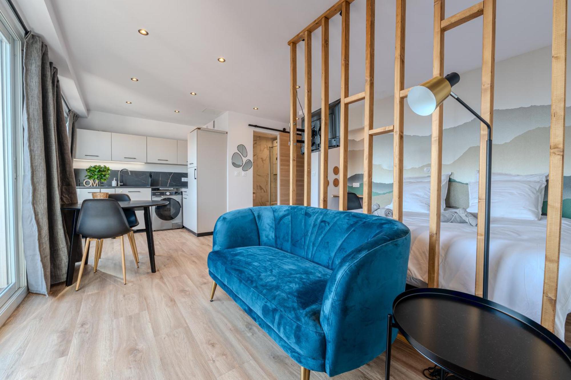 Studio Vue Montagne Γκρενόμπλ Εξωτερικό φωτογραφία